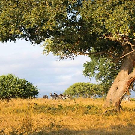 Motlala Game Lodge Hoedspruit Eksteriør billede