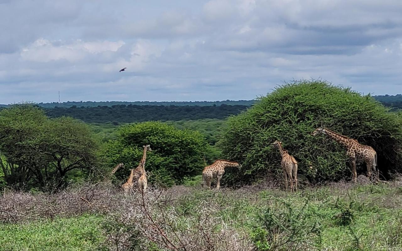 Motlala Game Lodge Hoedspruit Eksteriør billede