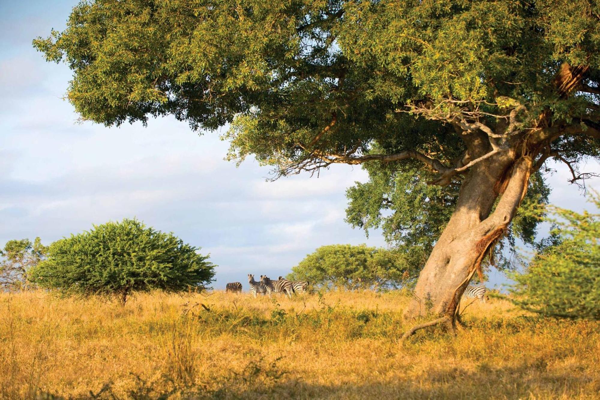 Motlala Game Lodge Hoedspruit Eksteriør billede